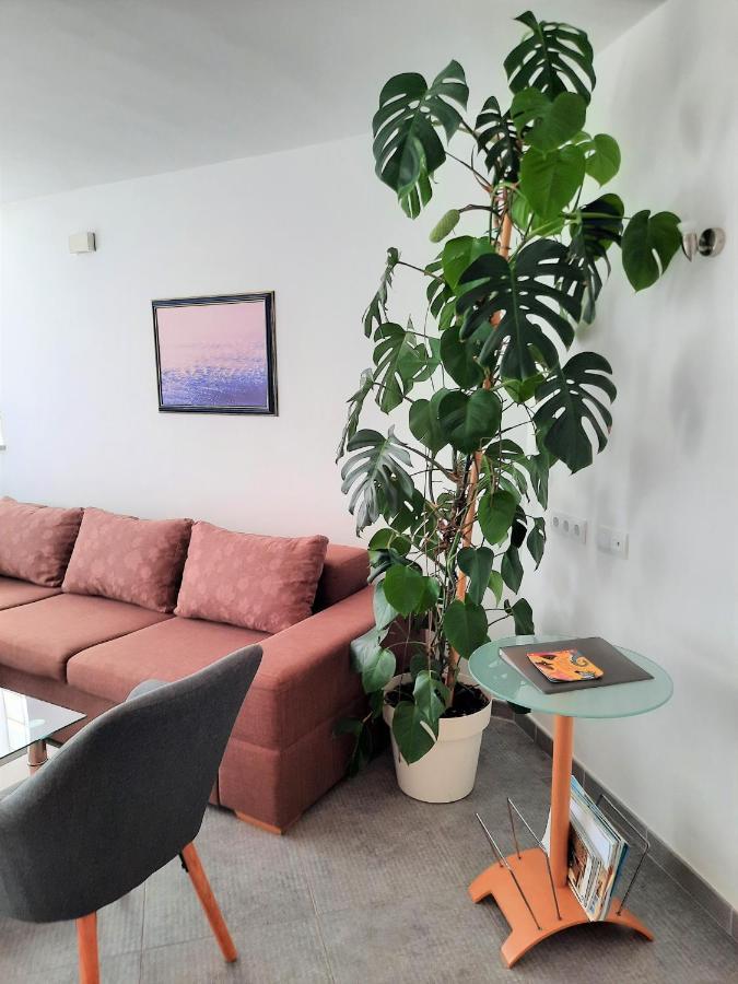 Apartment Mato 巴尔巴里加 外观 照片